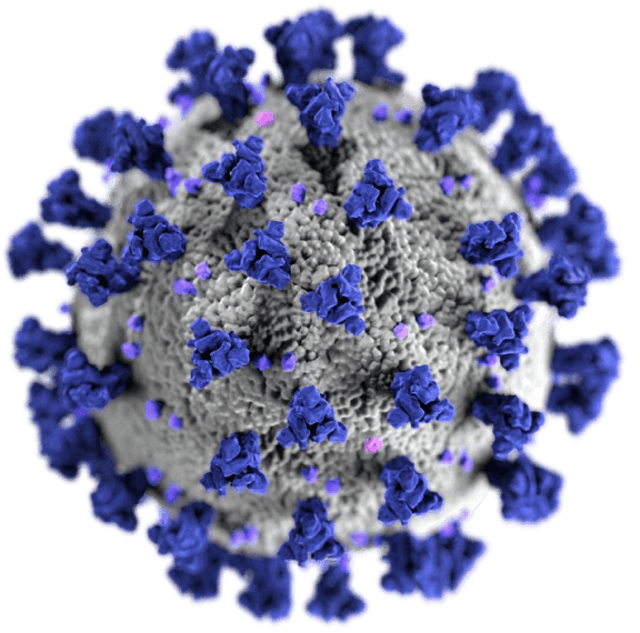 covid 19 virus illustration.png